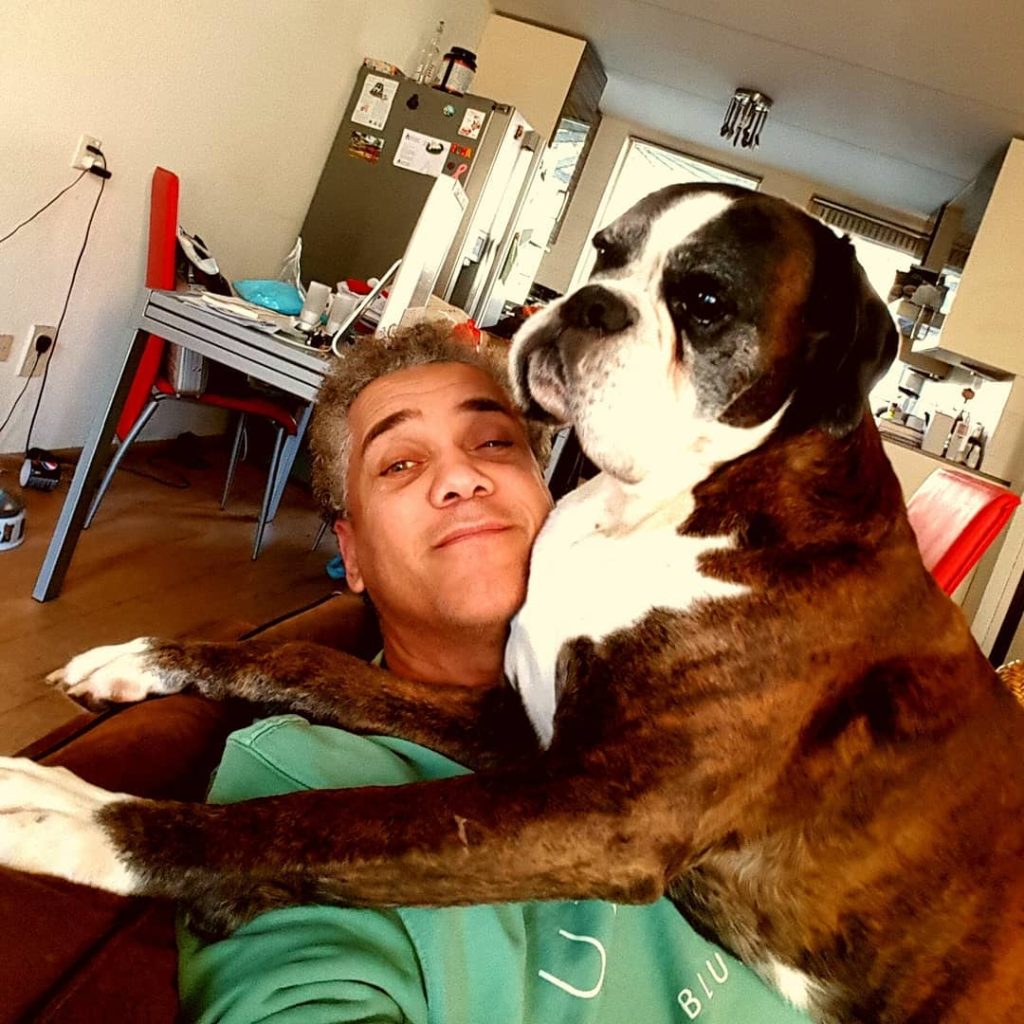 Franklin-brown-hond-2