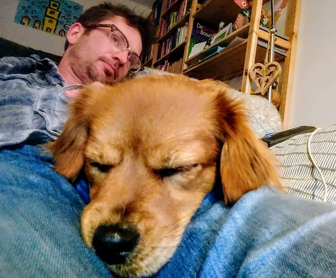 Tom-staal-hond